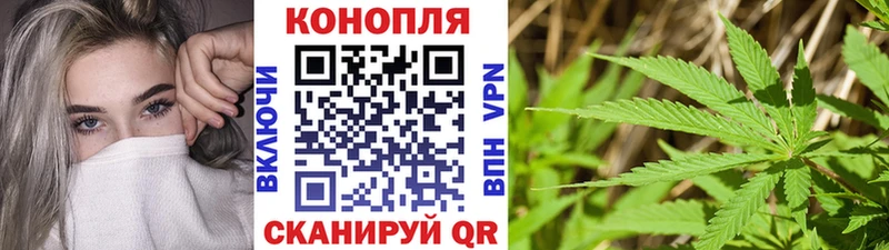 Бошки марихуана OG Kush  Купить закладки  Сертолово 